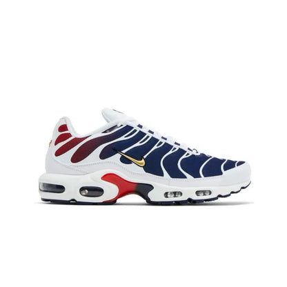 Air max TN x PSG
