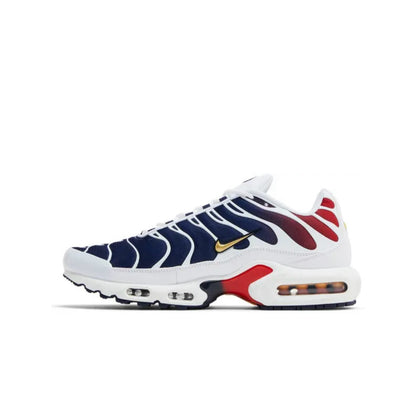 Air max TN x PSG