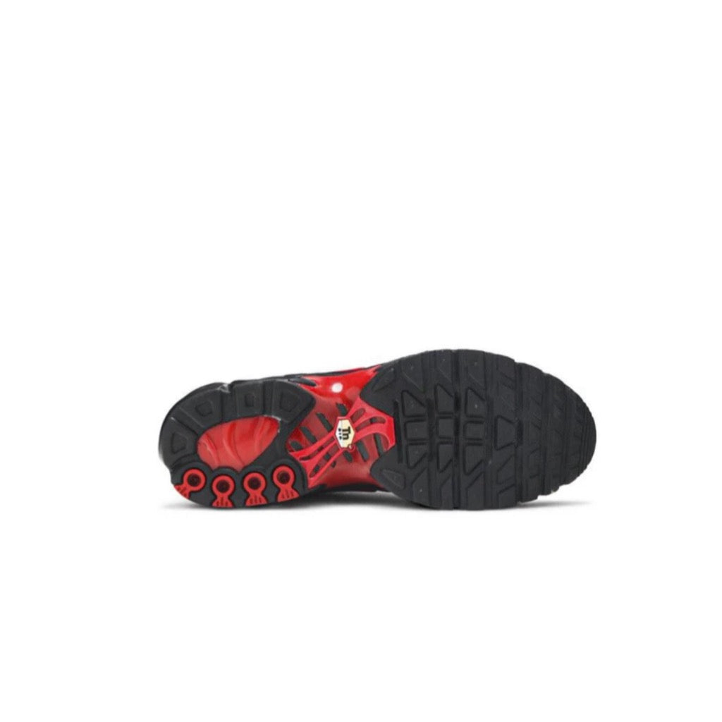 Air max TN noir/rouge
