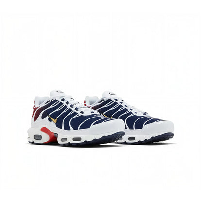 Air max TN x PSG